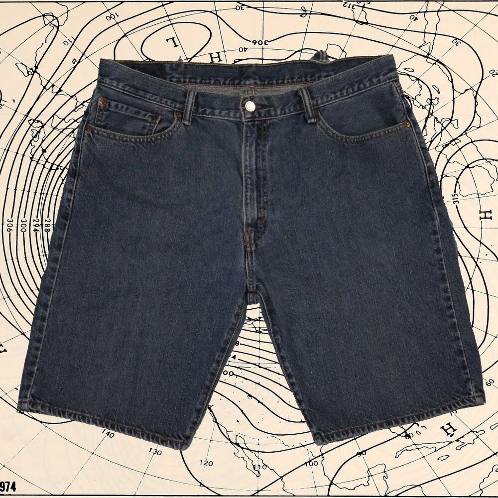 size 38 levi's jorts